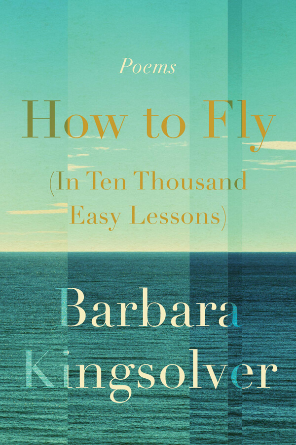 How To Fly (In Ten Thousand Easy Lessons)
